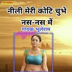 Nilli meri koti chubhe nas nas me