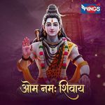 Om Namah Shivay