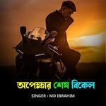 Opekkhar Shesh Bikel