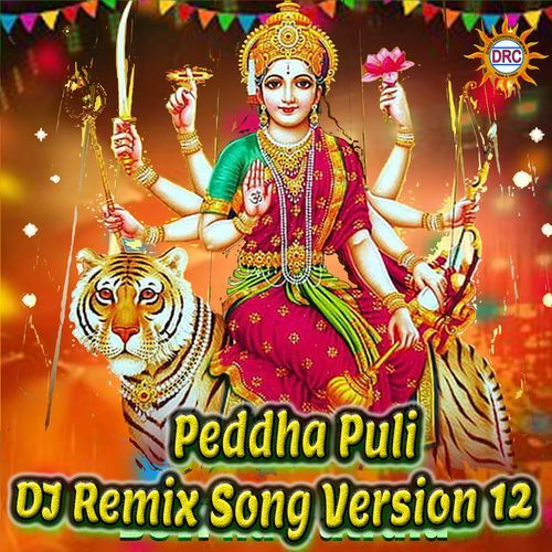 Peddha Puli (DJ Remix Song Version 12)