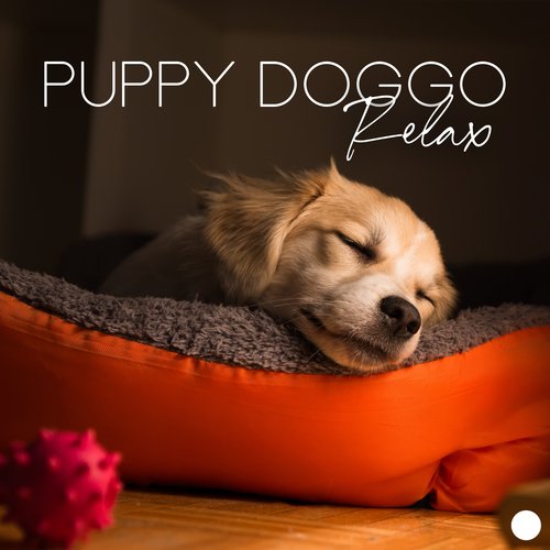 Pet Care Club cover art