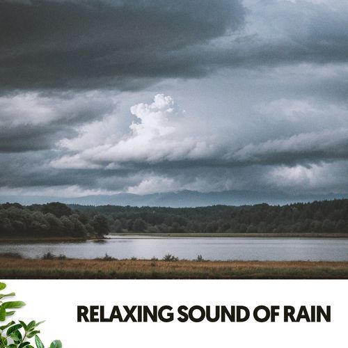 Relaxing Sound of Rain: Serenity in Storms_poster_image