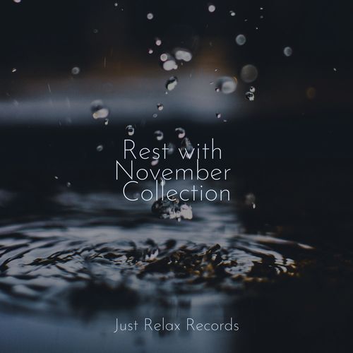 Rest with November Collection_poster_image