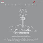 Om Har Har Mahadev (Shiva Aarti by Suresh Wadkar)