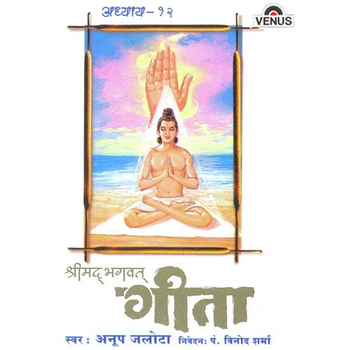 Shreemad Bhagwat Geeta - Vol. 12
