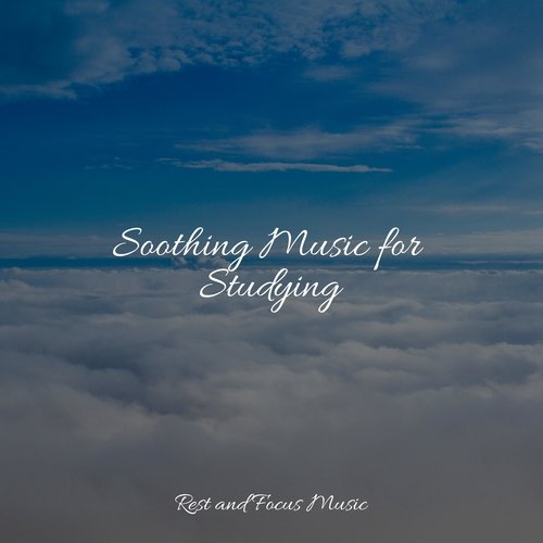 Soothing Music for Studying_poster_image