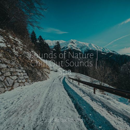 Sounds of Nature | Chill Out Sounds | Spa