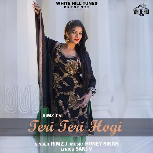 Teri Teri Hogi_poster_image