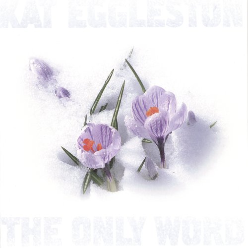 Snow cover art