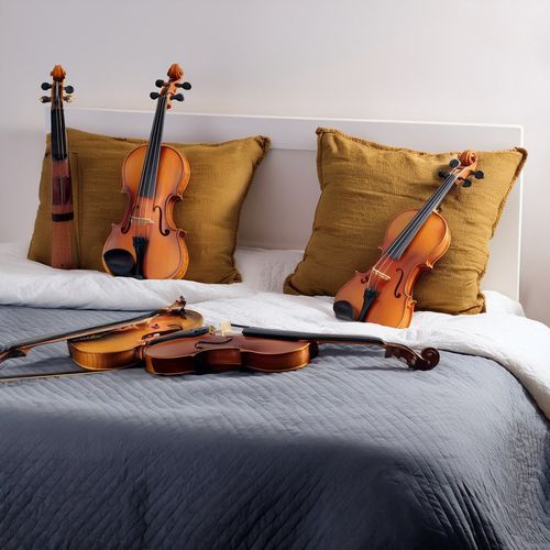 The Orchestra Of Dreamy Nights