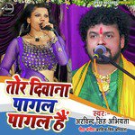 Tor Deewana Pagal Pagal Hai - Single