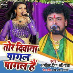 Tor Deewana Pagal Pagal Hai - Single