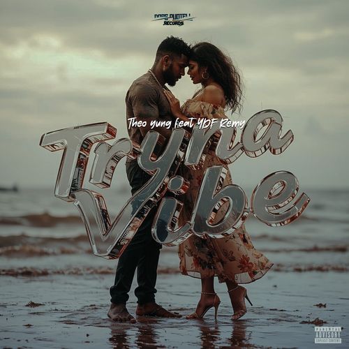 Tryna Vibe cover art
