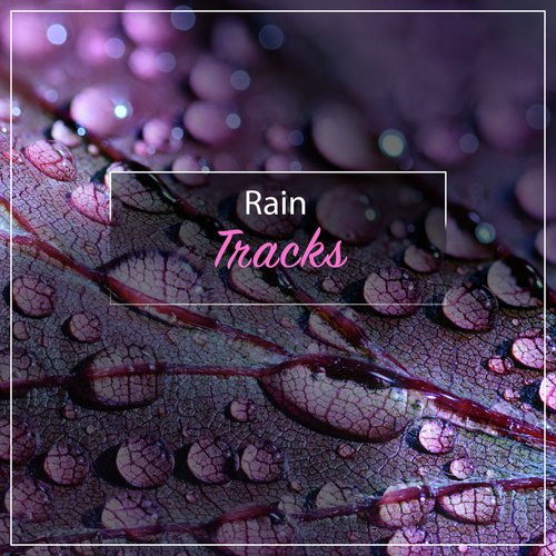 8 Minute Loopable Heavy Rain cover art