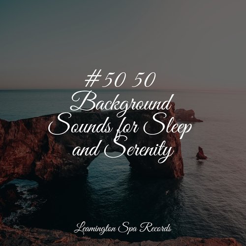 #50 50 Background Sounds for Sleep and Serenity