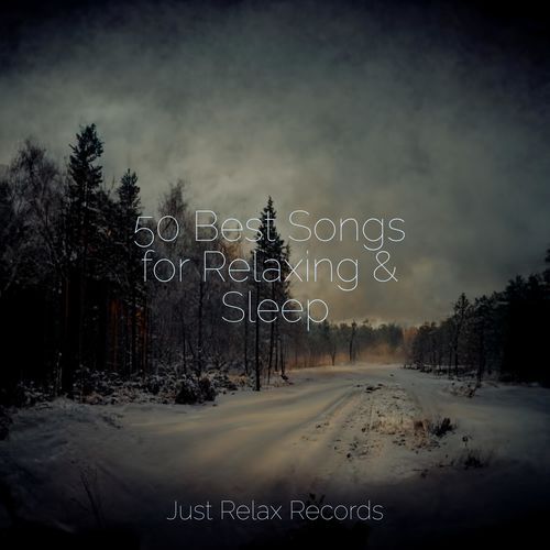 50 Best Songs for Relaxing & Sleep