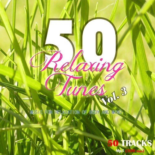 50 Relaxing Tunes, Vol. 3 (Musicf or relaxation of body and mind)_poster_image