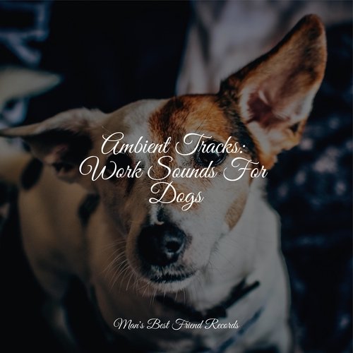Meditating Music cover art