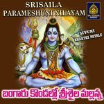 Bangaru Kondallo Srisaila Mallanna