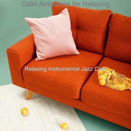 Calm Ambiance for Relaxing_poster_image