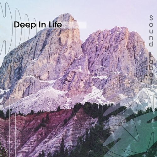 Diversity cover art