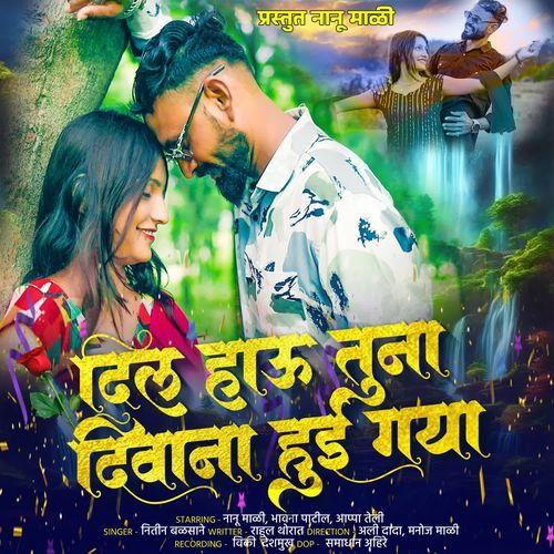Dil Hau Tuna Deewana Hui Gaya