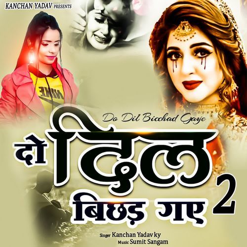 Do Dil Bichad Gaye 2