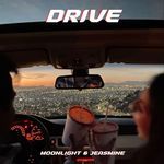 Drive (Afro House Extended Version)