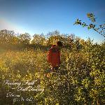 Growing Pains (feat. Holly)