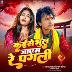 Kaise Bhul Jayem Re Pagali