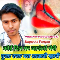 Koi din mar jaungo meri pooja rula mat ladli mhari