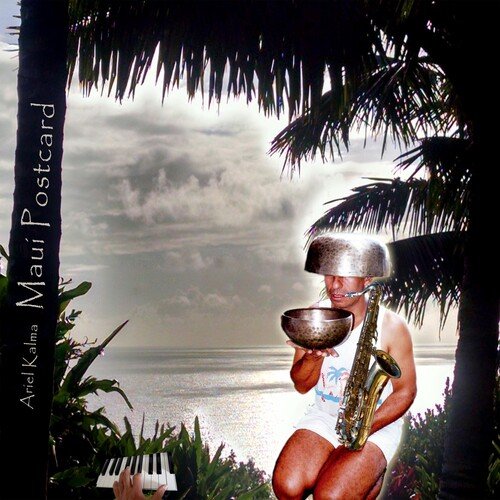 Hookipa Surfer. cover art