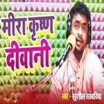 Mira Krishna Deewani