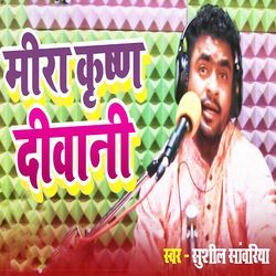 Mira Krishna Deewani