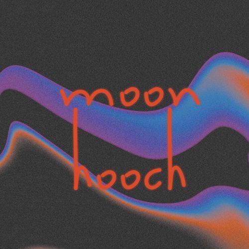 Moon Hooch cover art