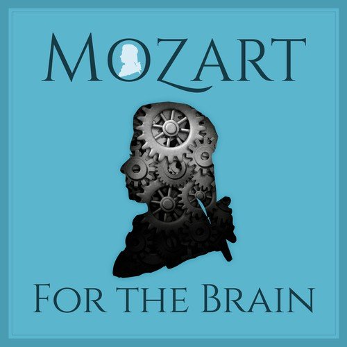 Mozart: Symphony No.40 In G Minor, K.550 - 1st Version (Without Clarinets) - 1. Molto allegro