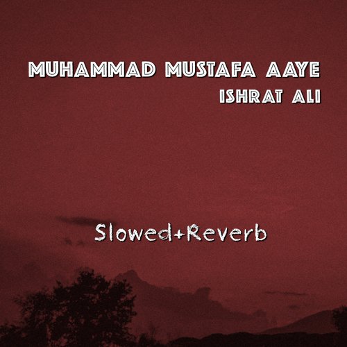 Muhammad Mustafa Aaye