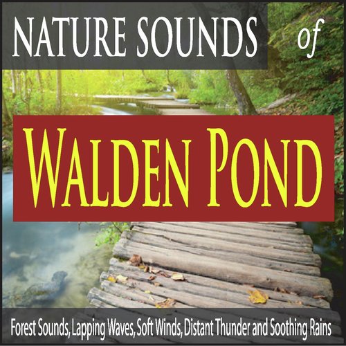 Lynn Woods Reservation Thunderstorm cover art