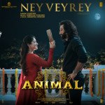 Ney Veyrey (From &quot;ANIMAL&quot;) - Telugu