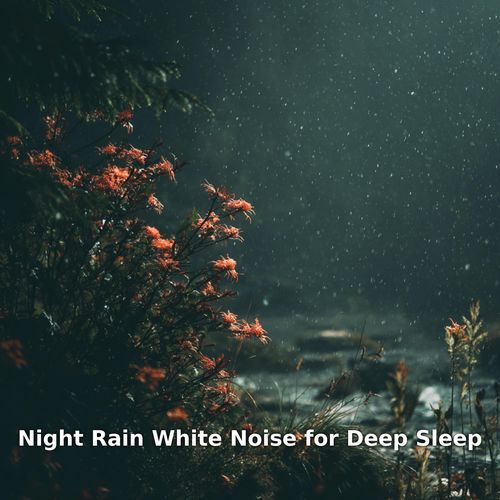 Soft Night Rain on a Dark Roof, Pt.20