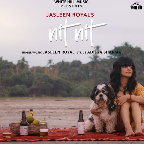 Nit Nit cover art