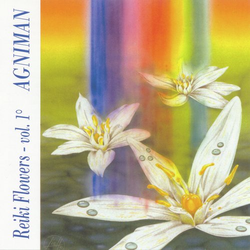 Donis cover art