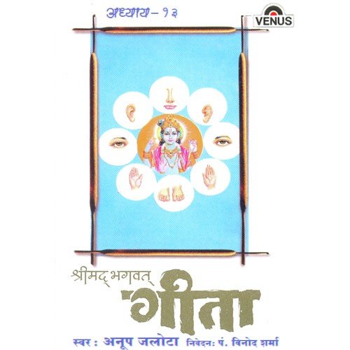Shreemad Bhagwat Geeta - Vol. 13