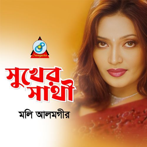 Sukher Sathi