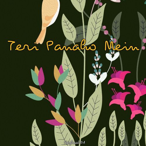 Teri Panaho Mein