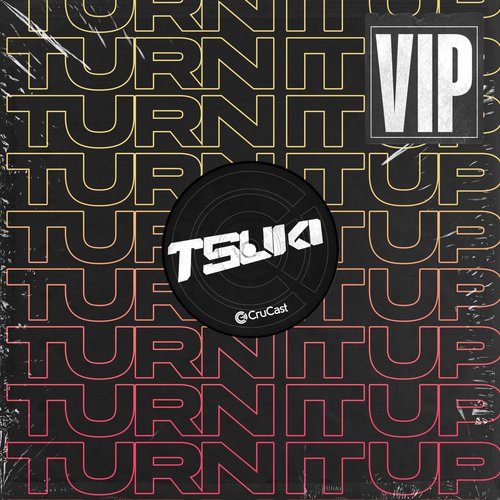 Turn It Up VIP_poster_image