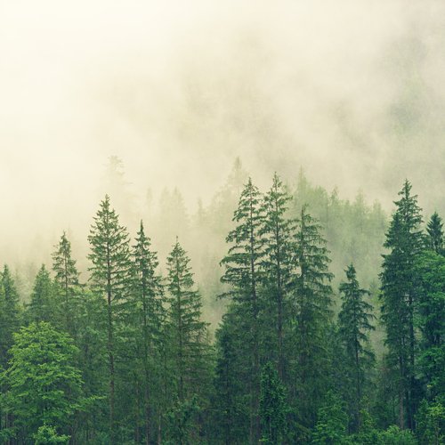 Dormir cover art