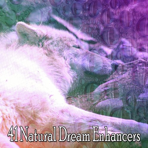 41 Natural Dream Enhancers