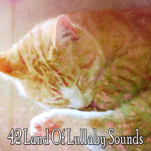 42 Land Of Lullaby Sounds