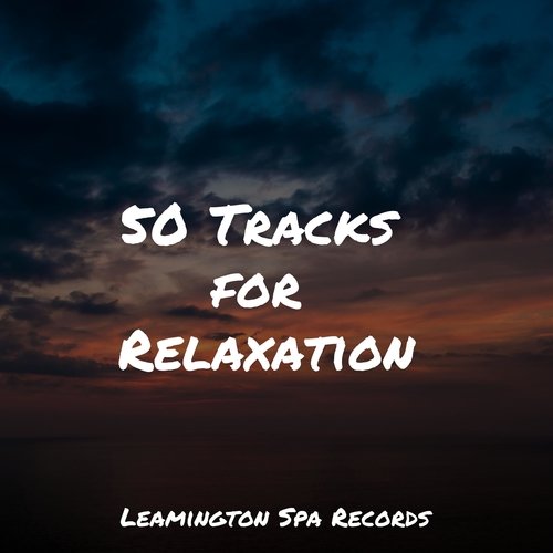 50 Tracks for Relaxation